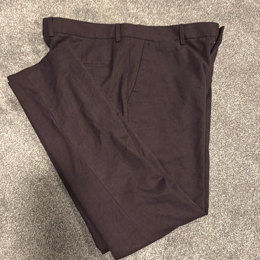 Express Dress Pants
